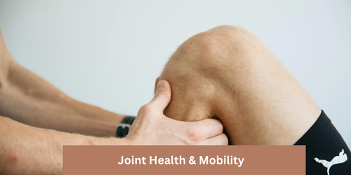 Close-up of a knee examination for joint health and mobility improvement during a physiotherapy session.