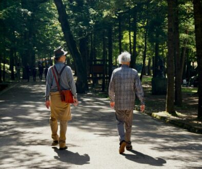 A rear view of two elderly men walking side by side down a sun-dappled paved path in a lush, wooded park.