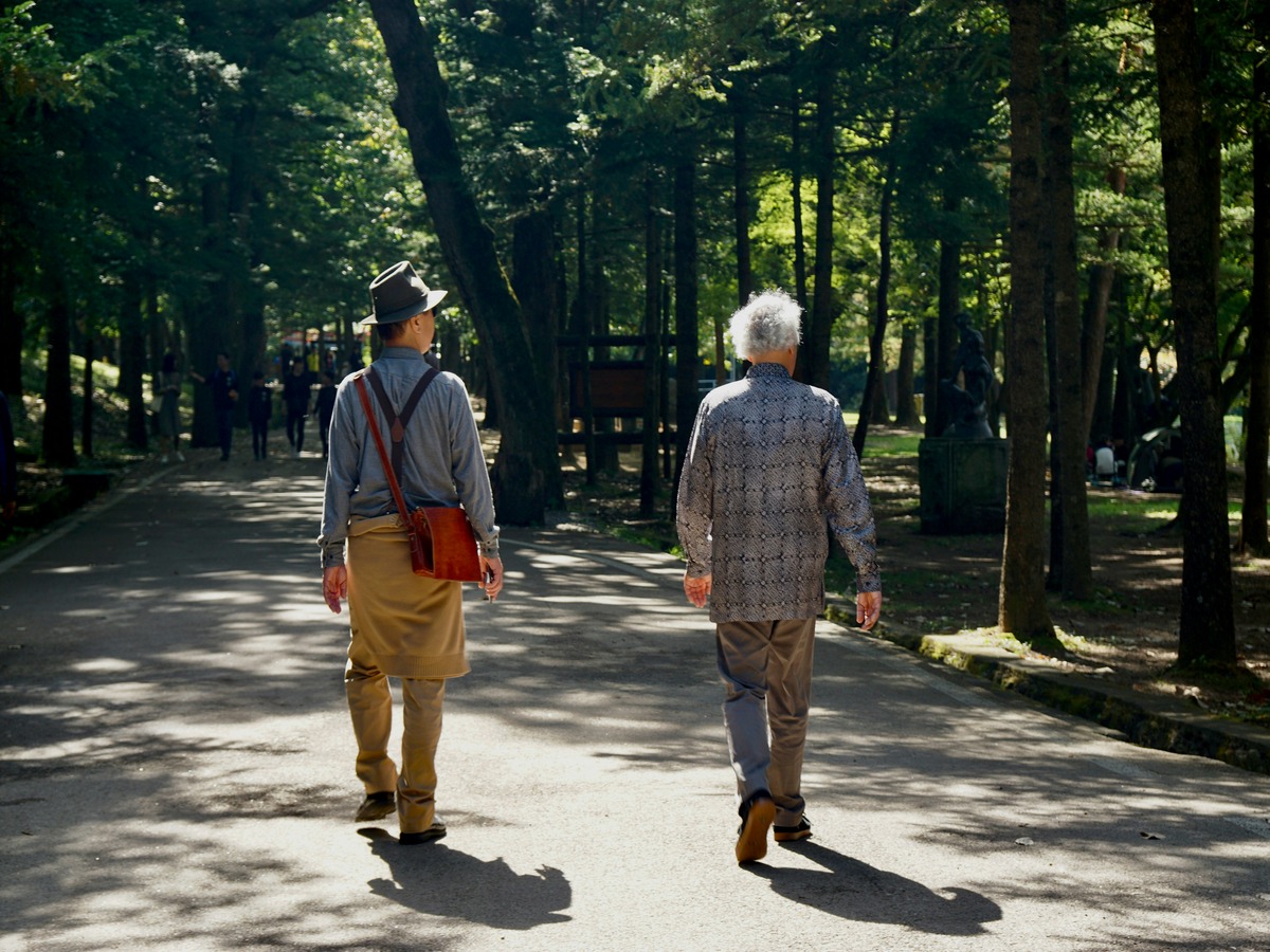 A rear view of two elderly men walking side by side down a sun-dappled paved path in a lush, wooded park.