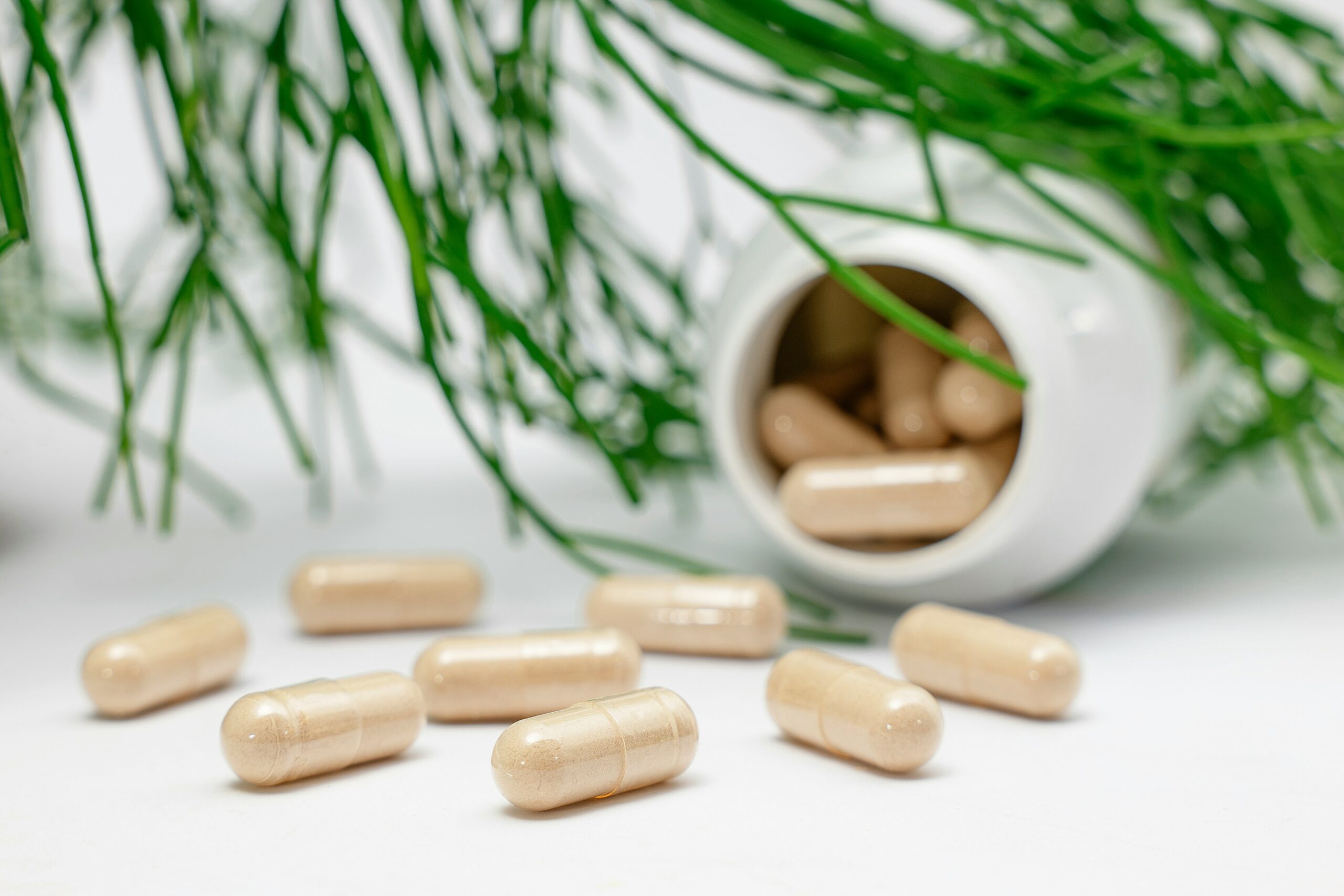 supliful-supplements-on-demand-UTPZnnEVW4E-